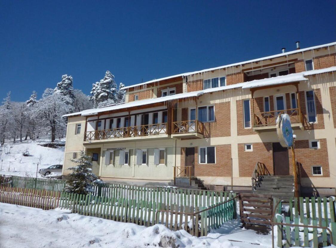 Hotel Apollon Bakuriani Εξωτερικό φωτογραφία