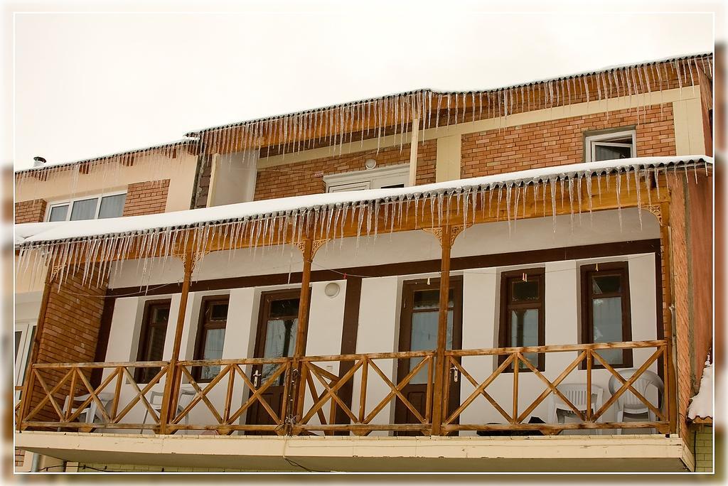 Hotel Apollon Bakuriani Εξωτερικό φωτογραφία