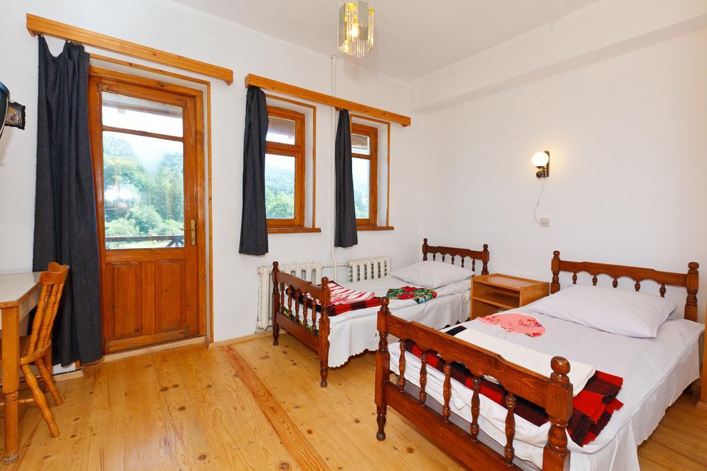 Hotel Apollon Bakuriani Εξωτερικό φωτογραφία